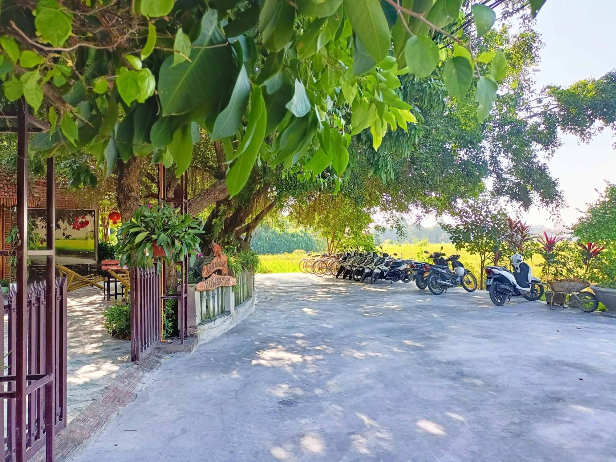 Tam Coc Sunshine Homestay نينه بينه المظهر الخارجي الصورة