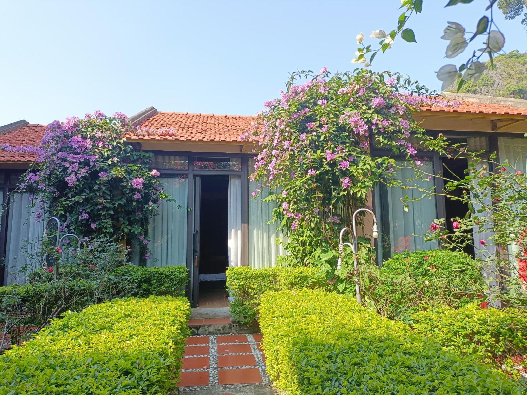 Tam Coc Sunshine Homestay نينه بينه المظهر الخارجي الصورة