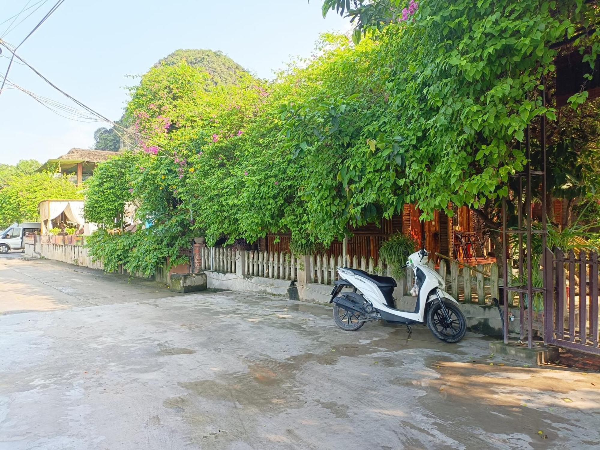 Tam Coc Sunshine Homestay نينه بينه المظهر الخارجي الصورة