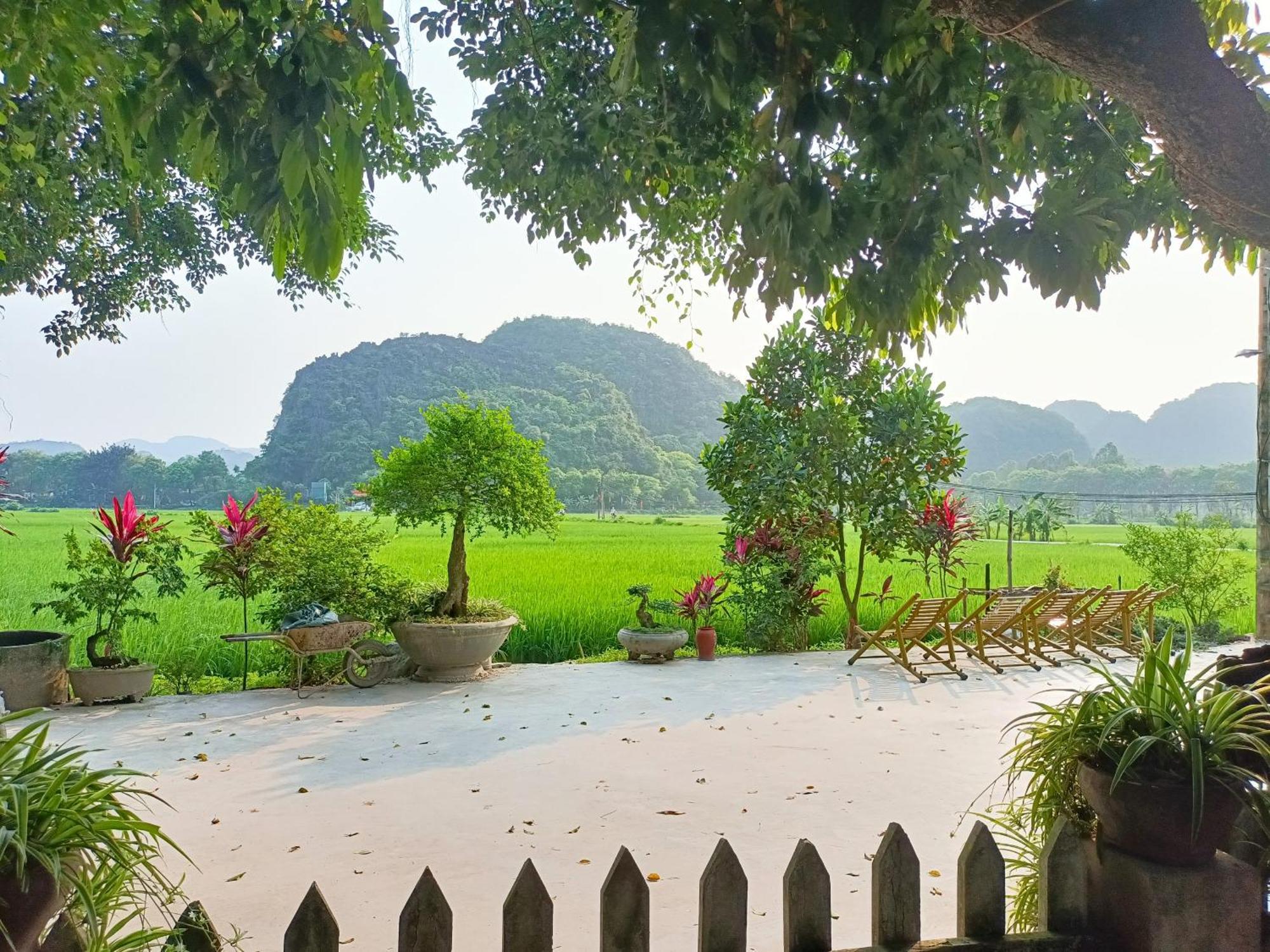 Tam Coc Sunshine Homestay نينه بينه المظهر الخارجي الصورة