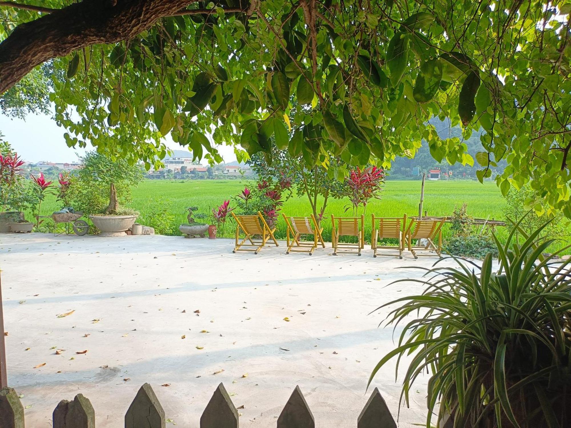 Tam Coc Sunshine Homestay نينه بينه المظهر الخارجي الصورة