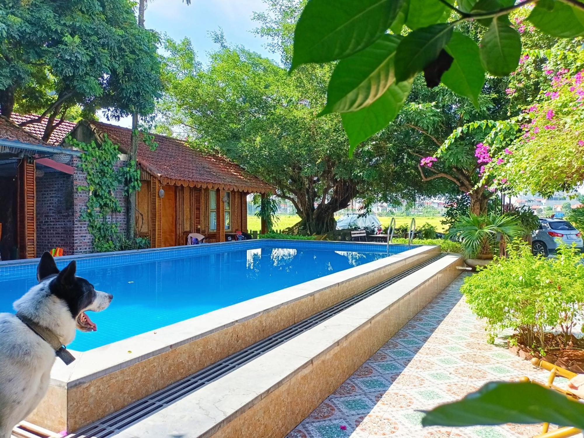 Tam Coc Sunshine Homestay نينه بينه المظهر الخارجي الصورة