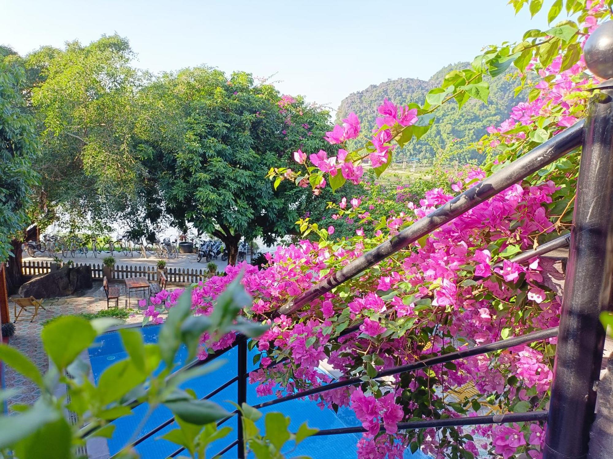 Tam Coc Sunshine Homestay نينه بينه المظهر الخارجي الصورة