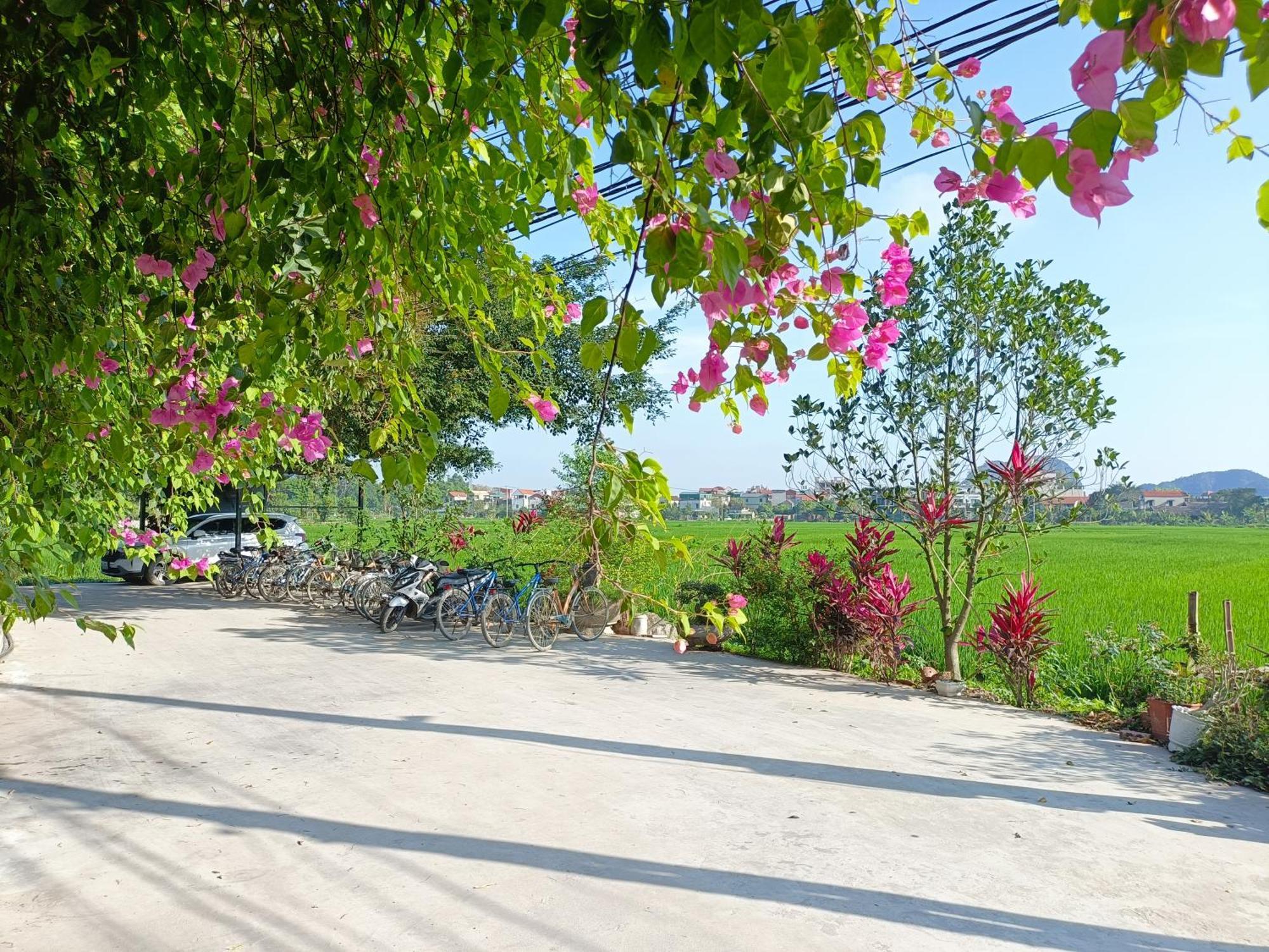 Tam Coc Sunshine Homestay نينه بينه المظهر الخارجي الصورة