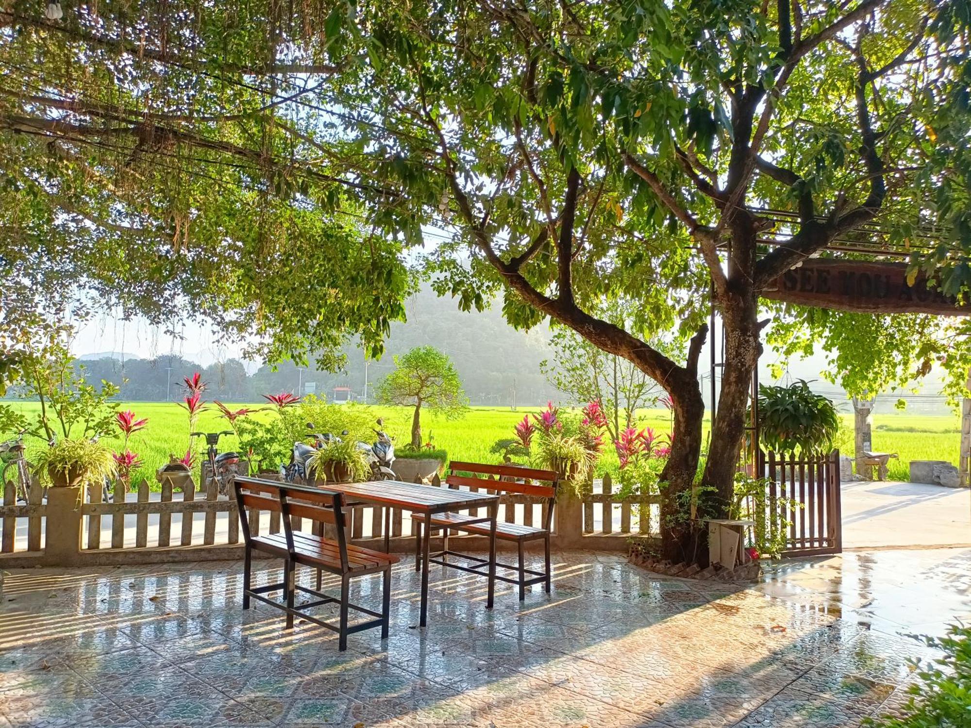 Tam Coc Sunshine Homestay نينه بينه المظهر الخارجي الصورة