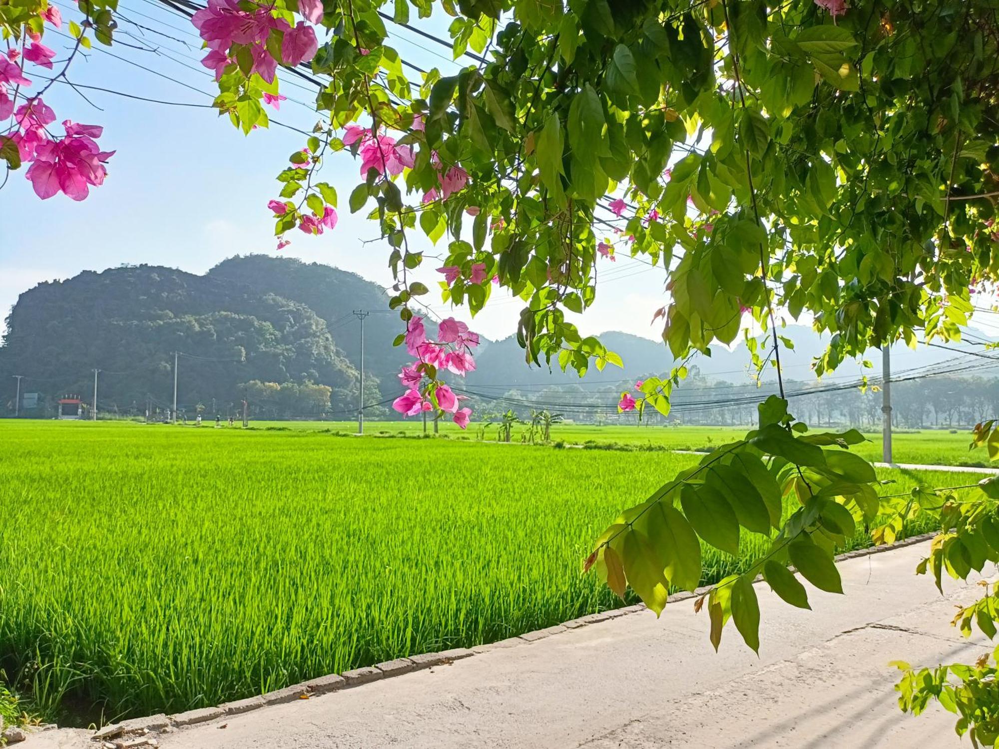 Tam Coc Sunshine Homestay نينه بينه المظهر الخارجي الصورة